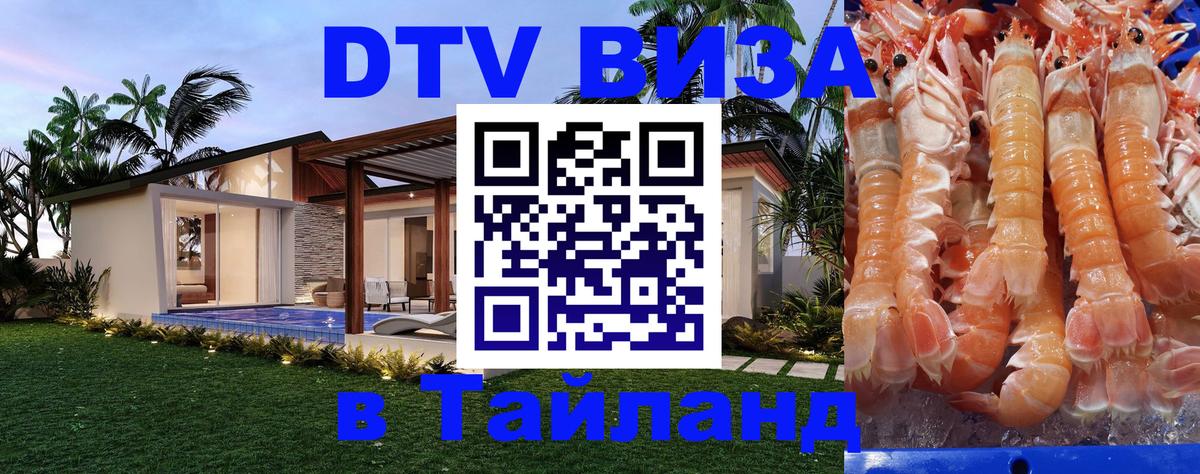 Сколько стоит DTV виза — актуальные цены, оформление даже без документов - Амман  20.11.2025 